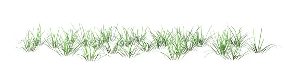 Darstellung Von Grünem Gras Isoliert Auf Weißem Hintergrund — Stockfoto
