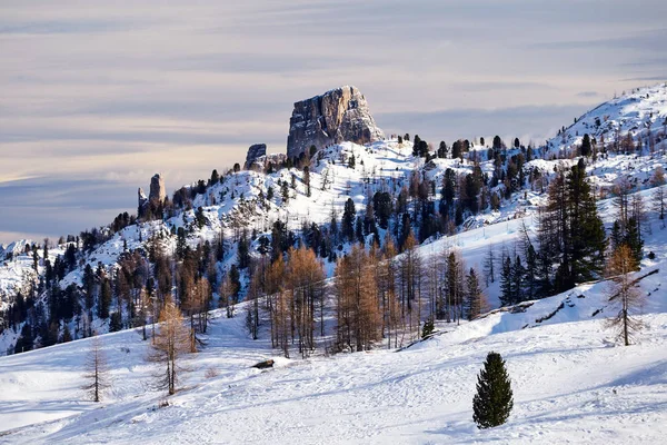 Cinque Terre Bergen Täckta Snö Dagsljus Italien — Stockfoto