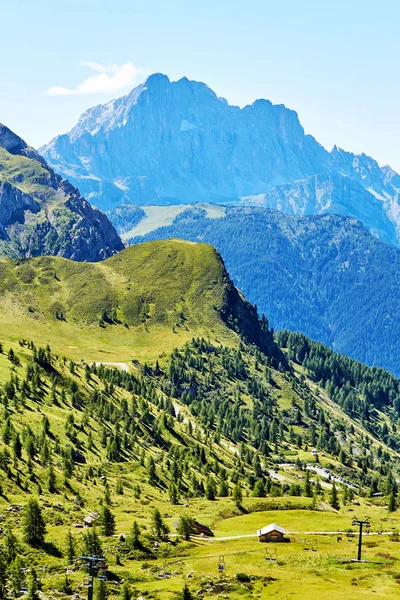 Giau Pass Grön Skog Dagsljus Italien — Stockfoto