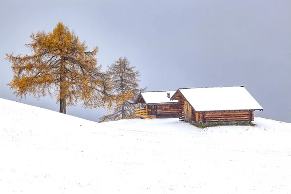 アルプ シウシの雪深い初冬の風景 ドロミテ イタリア 冬の休暇先 — ストック写真