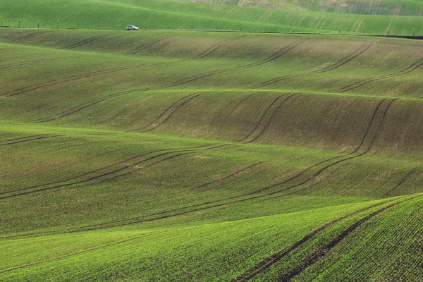 Sunset Lines Waves Spring South Moravia Czech Republic — Stock Photo, Image