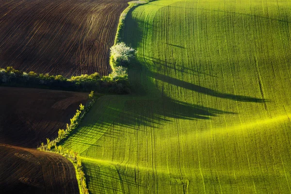 Sunset Lines Waves Spring South Moravia Czech Republic — Stock Photo, Image