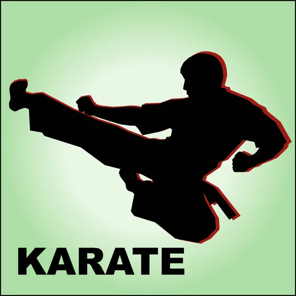 Krijgskunst Gekleurde Simbol Logo Karate Creatief Ontwerp Embleem — Stockfoto