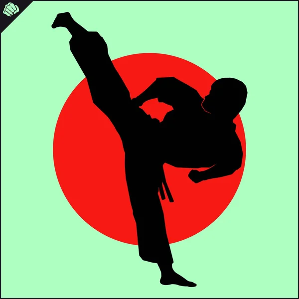 Krijgskunst Gekleurde Simbol Logo Karate Creatief Ontwerp Embleem — Stockfoto