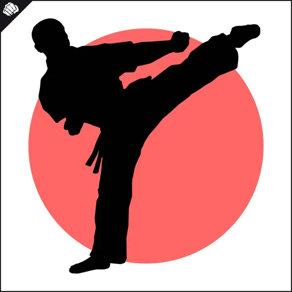 Kampfkunst Farbiges Simbol Logo Karate Kreatives Design Emblem — Stockfoto