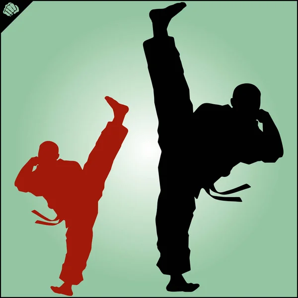 Krijgskunst Gekleurde Simbol Logo Karate Creatief Ontwerp Embleem — Stockfoto