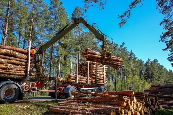 Crane in forest loading logs in the truck. Crane operator loading logs on to truck on a nice spring day. Timber harvesting and transportation in forest. Transport of forest logging industry and forestry industry...