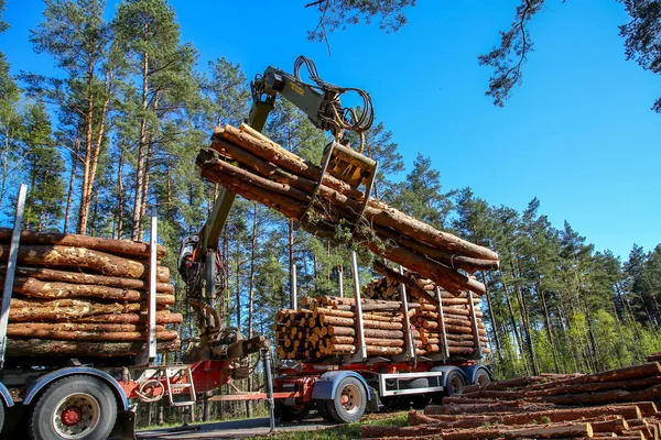 Jeřáb Lese Nakládá Klády Náklaďáku Těžba Přeprava Dřeva Lese Doprava — Stock fotografie