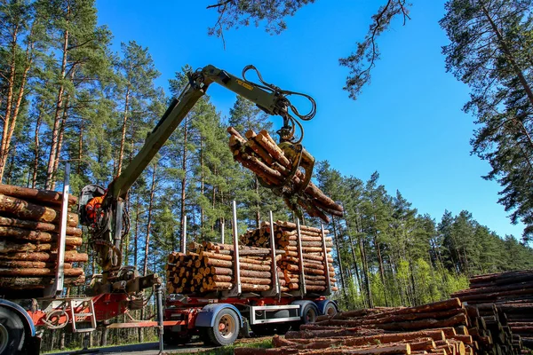 Grúa Troncos Carga Forestal Camión Cosecha Madera Transporte Bosque Transporte —  Fotos de Stock