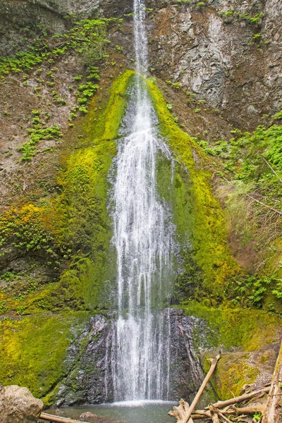 位于华盛顿奥林匹克国家公园温湿度雨林中的绿色玛丽米尔瀑布 — 图库照片
