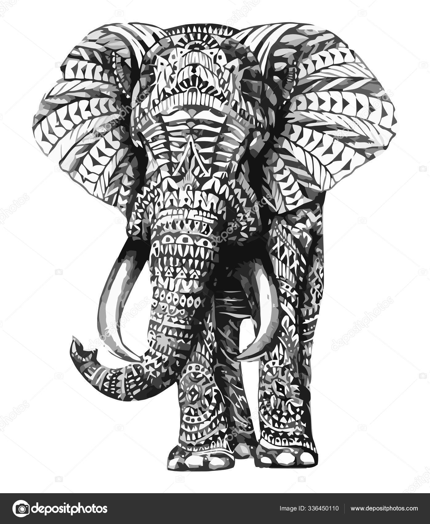 象インドの哺乳動物野生の伝統的なアジアの黒白のイラスト— ストック