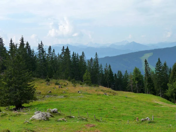 Uma Paisagem Alpina Verde Salzburgo — Fotografia de Stock