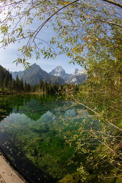 Letni Krajobraz Schiederweiher Austrii — Zdjęcie stockowe