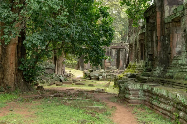 Paredes Del Templo Piedra Ruinas Los Árboles — Foto de Stock