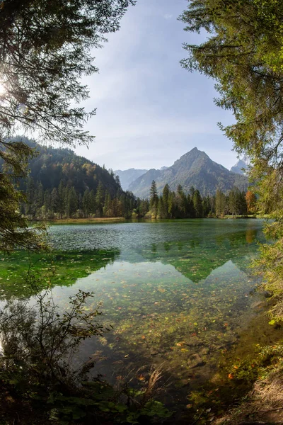 Letni Krajobraz Schiederweiher Austrii — Zdjęcie stockowe