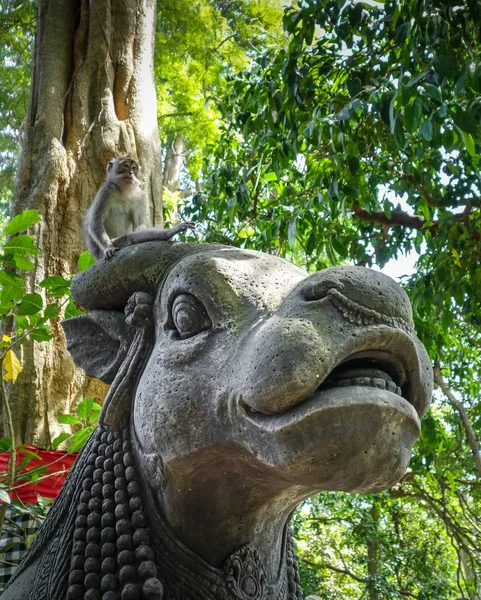 Singe Sur Une Statue Vache Dans Forêt Sacrée Singes Ubud — Photo