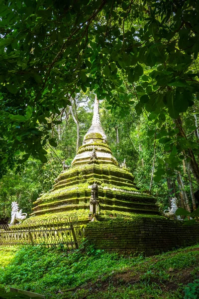 Wat Palad Templom Stupa Dzsungelben Chiang Mai Thaiföld — Stock Fotó