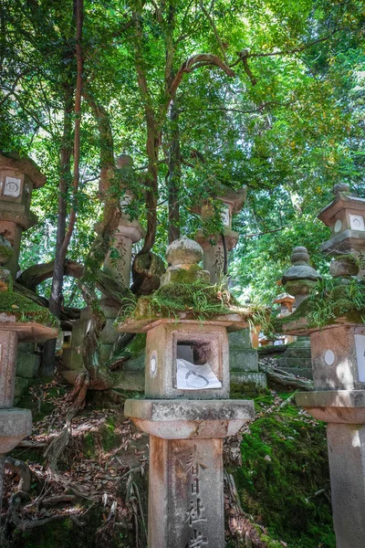 Kasuga Taisha Shrine Lanns Rows Nara Park Japan — 图库照片