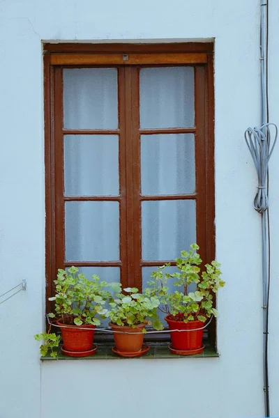 Ventanas Fachada Bilbao Dolor — Foto de Stock