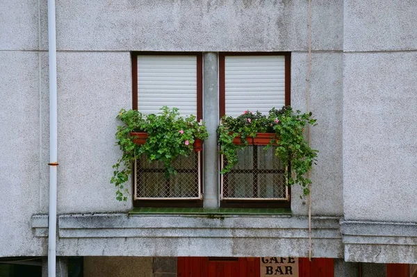 Окна Фасаде Бильбао Испания — стоковое фото