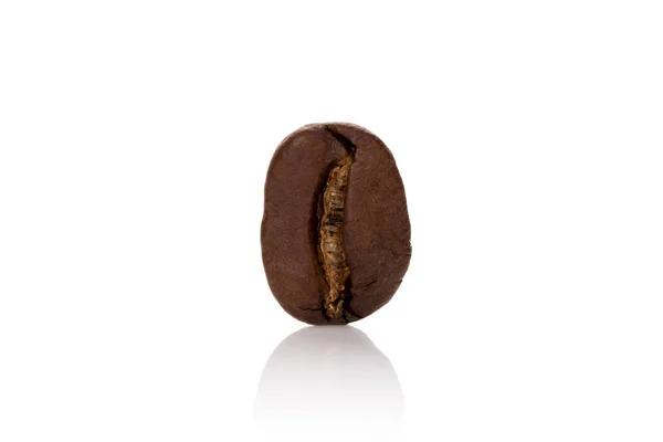 One Single Coffee Bean Isolated White — Stock Photo, Image