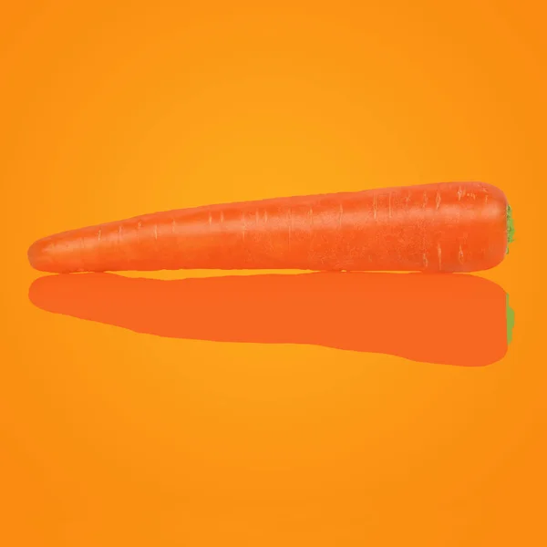 Jediná Mrkev Izolovaná Oranžovém Pozadí Duotone — Stock fotografie