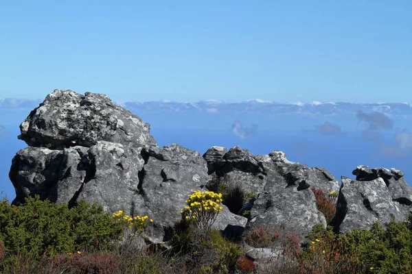 Natura Góry Stołowej Pobliżu Cape Town — Zdjęcie stockowe