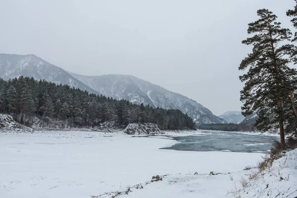 Landscape with river and mountains, Katun river on the Altai mountains