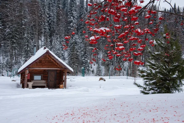 Winter Holiday House Forest Clean Air Rest Relaxation Unity Nature — Stock Photo, Image