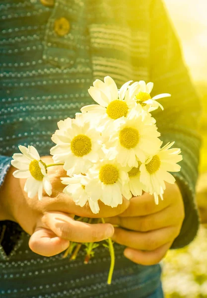 Cute Little Kid Holding Bouquet Daisy Flower Sunny Spring Flower — Stock Photo, Image