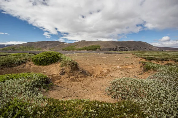 Izland Természeti Táj Zöld Kis Növényzet Homok Előtérben Háttérben Mountain — Stock Fotó
