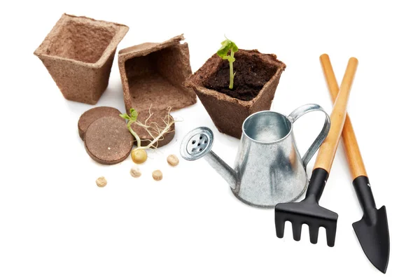 Still Life Gardening Tools Peat Tablets Pots Young Seedlings Isolated — Stock Photo, Image