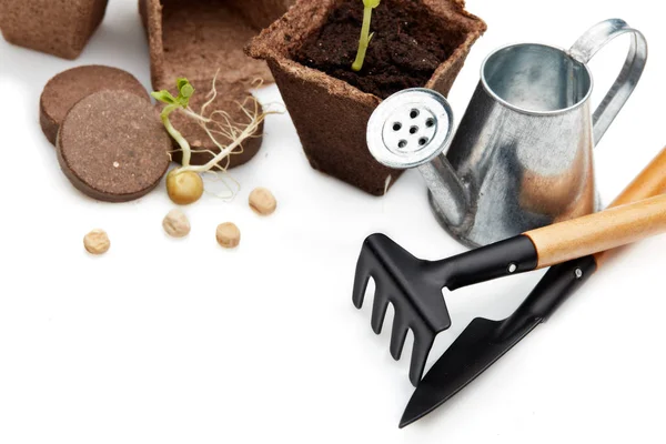 Still Life Gardening Tools Peat Tablets Pots Young Seedlings Isolated — 스톡 사진