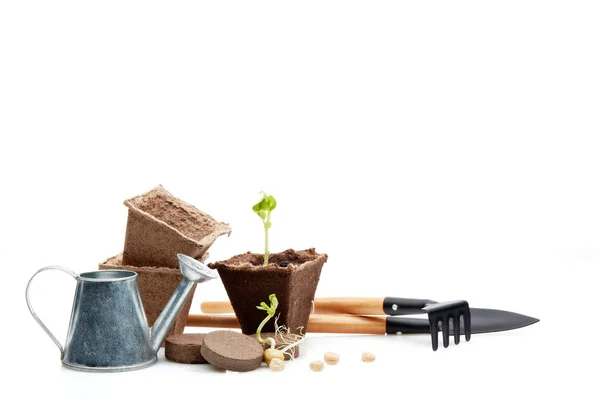 Still Life Gardening Tools Peat Tablets Pots Young Seedlings Isolated — Stock Photo, Image