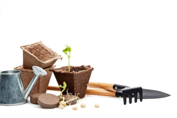 Still Life Gardening Tools Peat Tablets Pots Young Seedlings Isolated — Stock Photo, Image