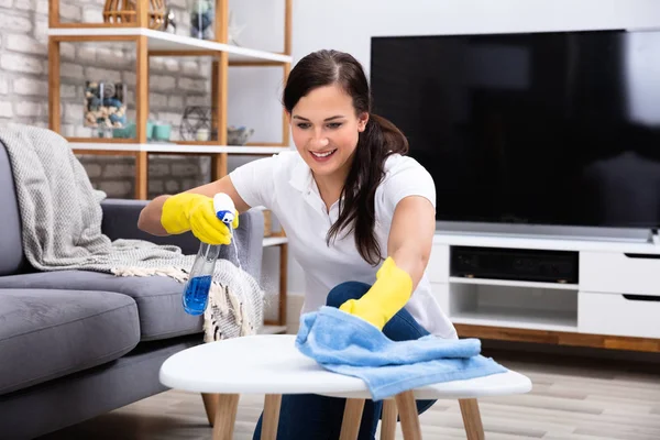 Gülümseyen Kadın Hademe Tablo Sprey Şişeyle Evde Temizlik — Stok fotoğraf