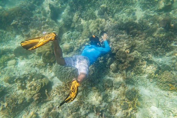 Buceador Buceo Hacer Buceo Libre Arrecife Tropical Con Fondo Azul —  Fotos de Stock