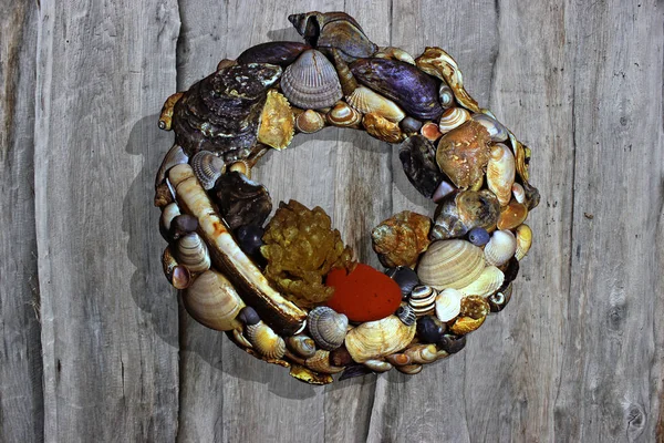 Wreath with North Sea shells on wooden wall