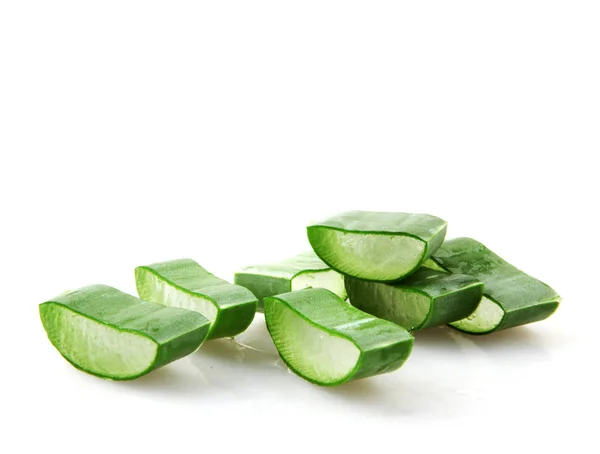 Aloe Vera White Background — Stock Photo, Image