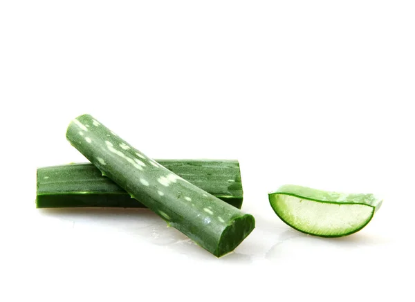 Aloe Vera Fundal Alb — Fotografie, imagine de stoc