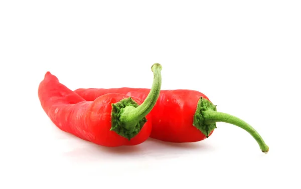 Close Red Chili Pepper White Background — Stock Photo, Image