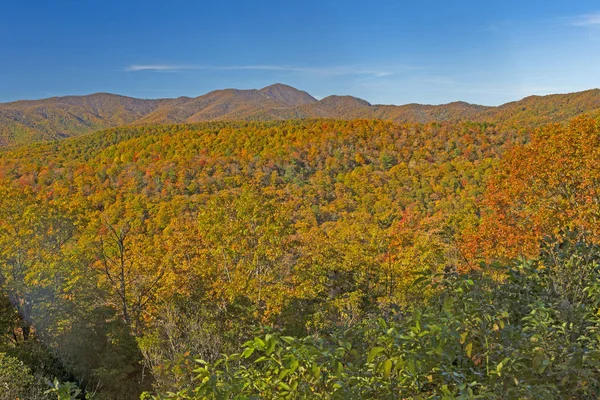 Outono Panorama Blue Ridge Parkway Perto Asheville Carolina Norte — Fotografia de Stock