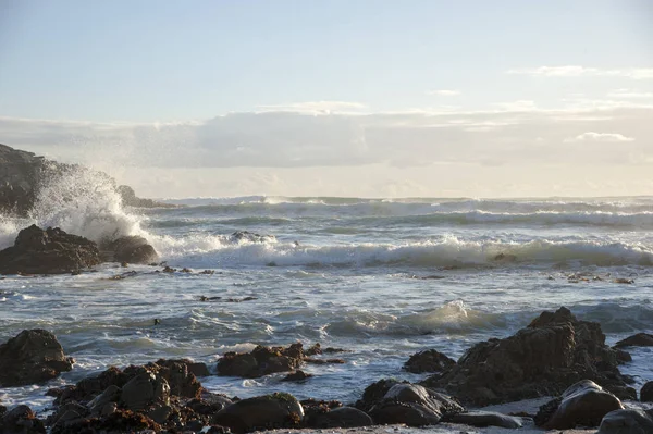 Хвилі Моря Біля Скелястого Пляжу Південно Африканській Республіці — стокове фото