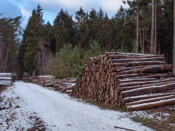 Alman Ormanlarında Kış Mevsimi — Stok fotoğraf