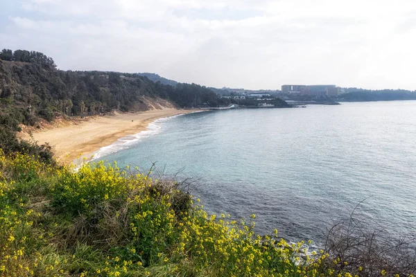 Jungmun Saekdal Beach View Famous Beach Jungmun Tourism Complex Seogwipo — Stockfoto