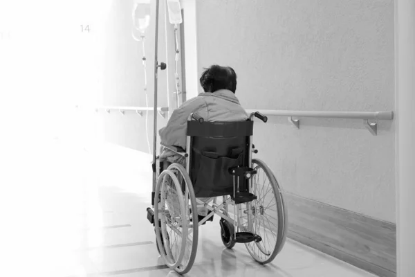Πίσω Όψη Ηλικιωμένης Ηλικιωμένης Γυναίκας Αναπηρικό Καροτσάκι Στο Διάδρομο Του — Φωτογραφία Αρχείου