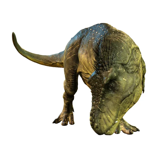 Рендеринг Динозавра Тираннозавра Рекса Белом Фоне — стоковое фото