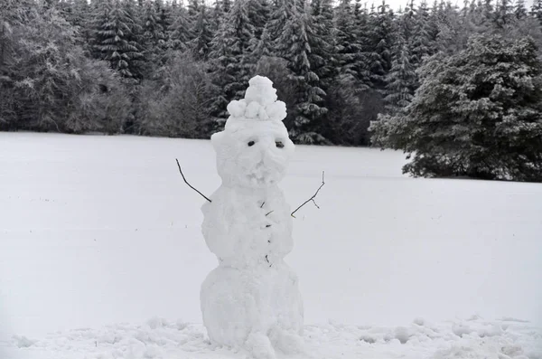 木々や雪のある冬の風景 — ストック写真