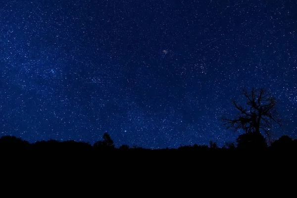 Noche Azul Clara Con Estrellas —  Fotos de Stock