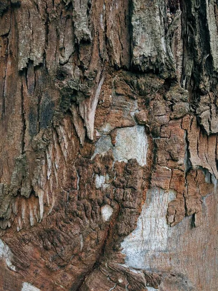 Wooden Texture Background Surface — Stock Photo, Image